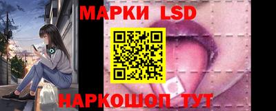 прущие грибы Норильск