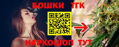 прущие грибы Норильск