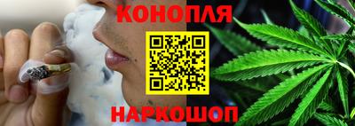 прущие грибы Норильск