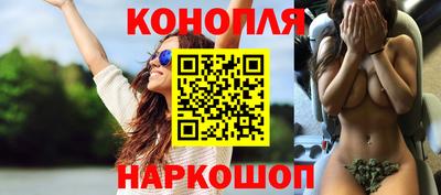 прущие грибы Норильск