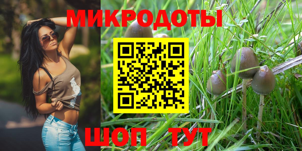 Псилоцибиновые грибы Cubensis Кашира